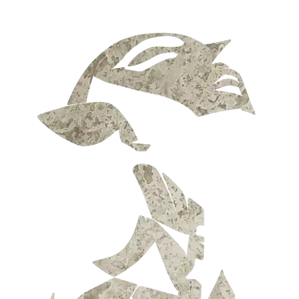 inscription 0ef2e2273c3d74ae677031d55875d33d04642a85296f5ed41ed1dd557a78a977i5