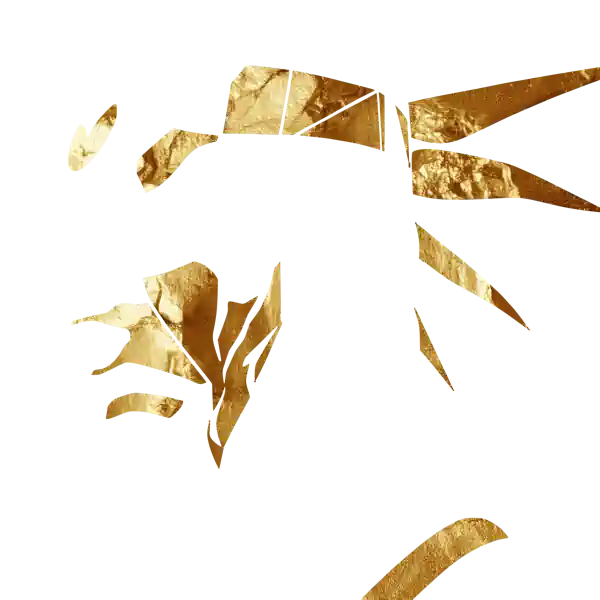 inscription 1202b3ea5fb6d46082b223c5ad630cde2f26dc0bc46d4b35e8a07d3df0d8fc11i17