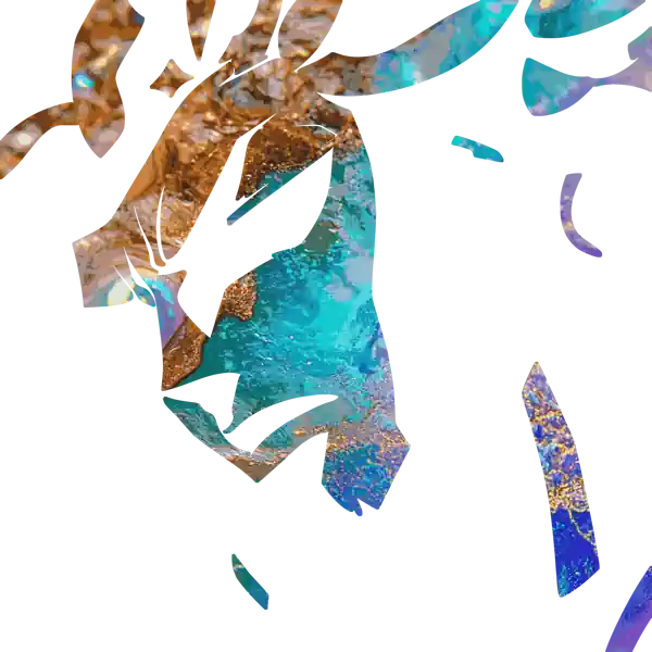 inscription 15c02cdf7fd7bff6fa8df90d1ddf24dc0b79eb7e5d957c1a5ae42c2ed212a1aci2