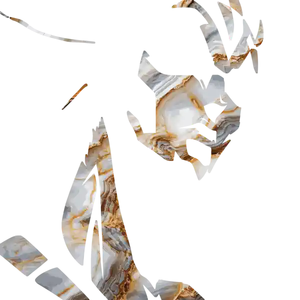 inscription 453c529cf94a6b6c92c546cca99927b54db96911470e131fd3bec7b1e8a2bc14i0
