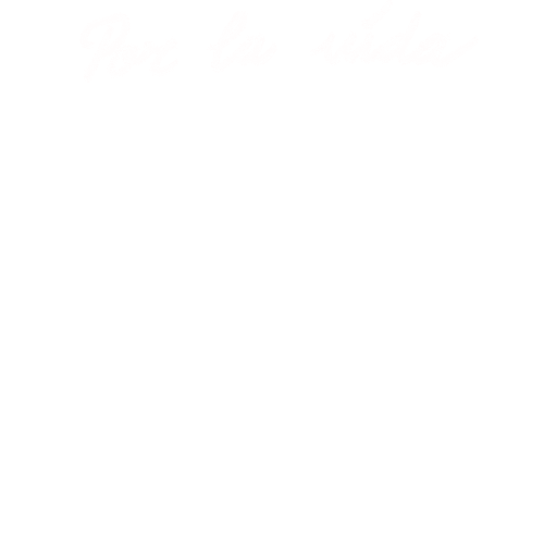 inscription 6de3e0798a69b12921f17e8c6f0f6b04b807bf890474f88ef0608eea5e7ad1d5i0