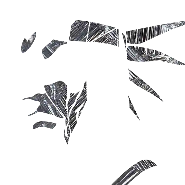 inscription 6ec20d13fa554d3ba9fca4c428df312ca4b47422dba7d01cf20e9ab26aa4b78fi0