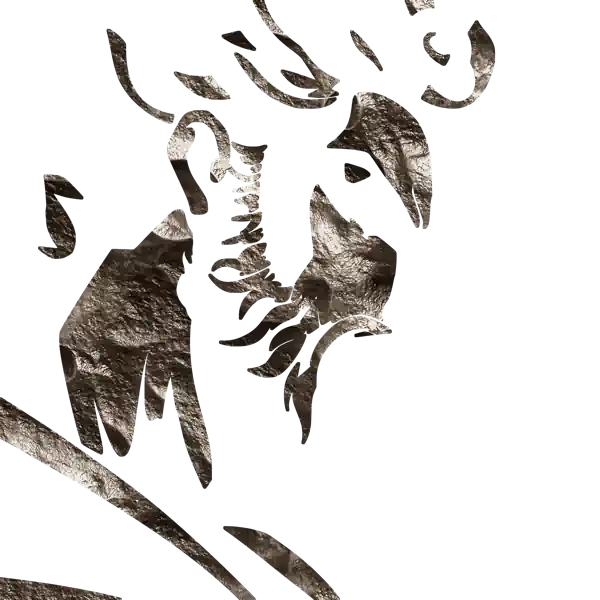 inscription 75427e7490356ca2eb863ad7eebf27d96aeeb1a13526904b259da3ef1402a9e5i11