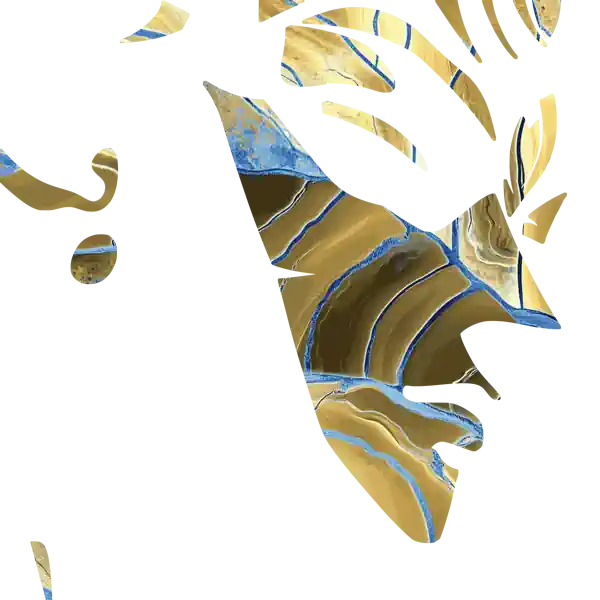 inscription b8a486d6dd84e45dc1e00c902f57efb24f559c33389d9b55c0dd75cbb636715ai8